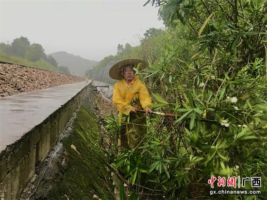 图为玉林工务段职工冒雨清理倾向线路的危树，消除安全隐患。黄正荣  摄