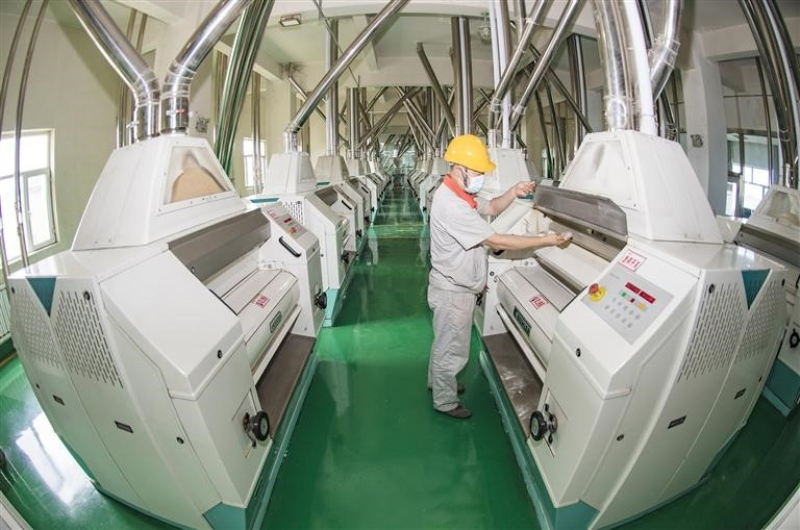 新疆倉麥園有限責任公司，員工在生產車間查看面粉研磨機運行情況。