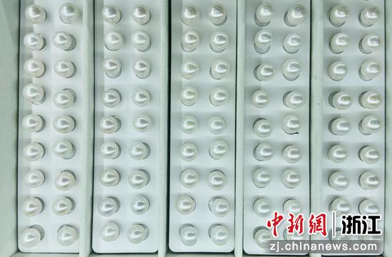 珍珠 项菁 摄