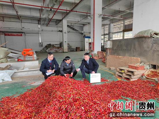 走访辣椒企业现场