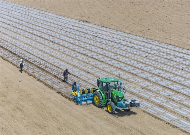 4月15日，玛纳斯县北五岔镇大庙村，农户操控安装了北斗卫星导航系统的无人驾驶拖拉机播种棉花。 　　 何龙 摄