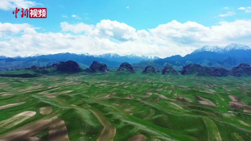 新疆百里丹霞山花爛漫景色壯美