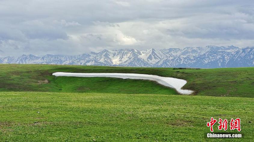 初夏時節 新疆吐爾加遼草原風景如畫