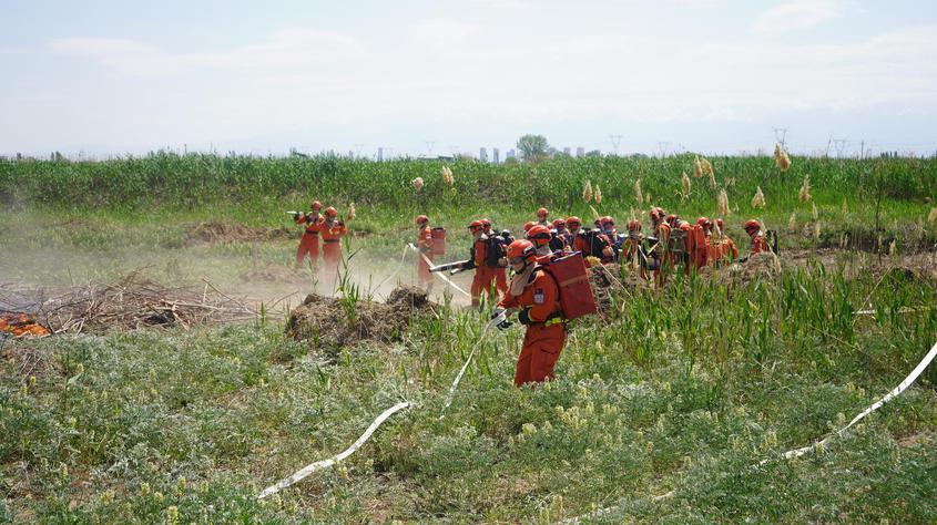 新疆兵团第十二师森林防灭火应急演练震撼来袭