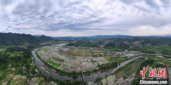 贵州贵定县盘江镇金海坝区的水稻种植示范点。　李森 摄