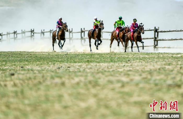 新疆福海：草原騎手策馬揚鞭角逐賽馬大會