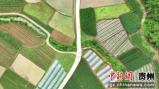 牛大场镇紫荆村乡村产业路,遍布水稻、高粱、玉米、西瓜、太子参 牛大场镇紫荆村乡村产业路,遍布水稻、高粱、玉米、西瓜、太子参
