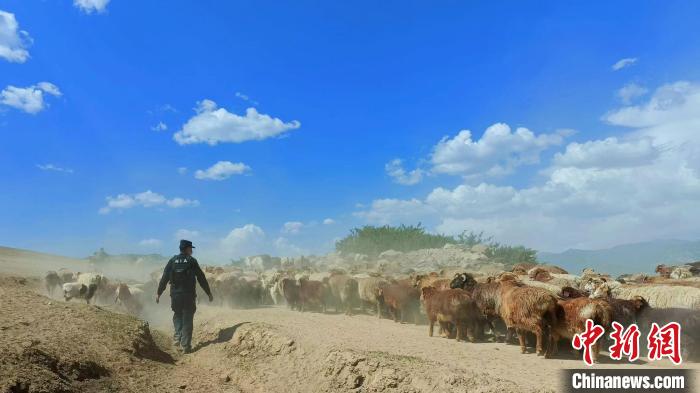 连日来，新疆阿勒泰边境管理支队大桥边境派出所民警组建“牧民转场服务队”为牧区转场保驾护航。　秦立家　摄