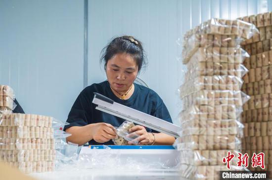 在贵州务川仡佬族苗族自治县一家艾草加工企业，工人在生产车间包装艾柱。　唐哲 摄
