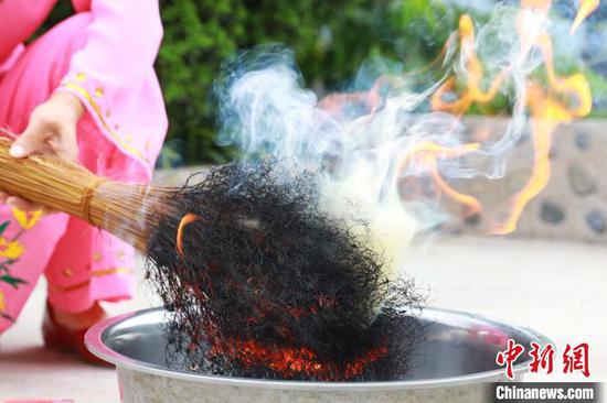 贵州省剑河县加禾村，村民在烧糯米草，制作草灰粽。　吴昌连 摄