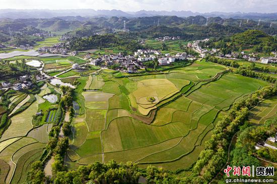 6月19日，贵州省黔西市洪水镇解放村田园风光（无人机照片）。