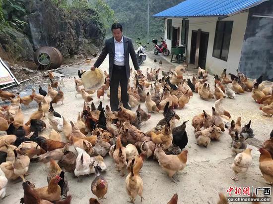 巴马县委宣传部供图