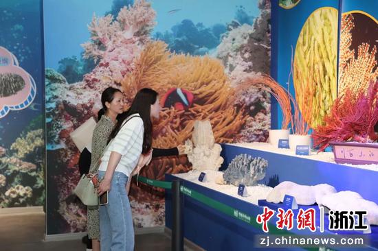 观众参观展览  浙江自然博物院供图