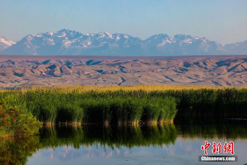 新疆那拉提國家濕地公園：夏至美景引人入勝