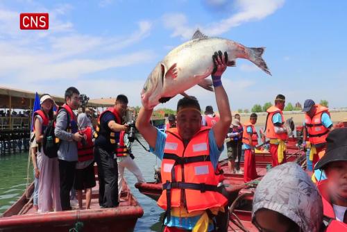 Fishing season kicks off in Xinjiang's Bosten Lake