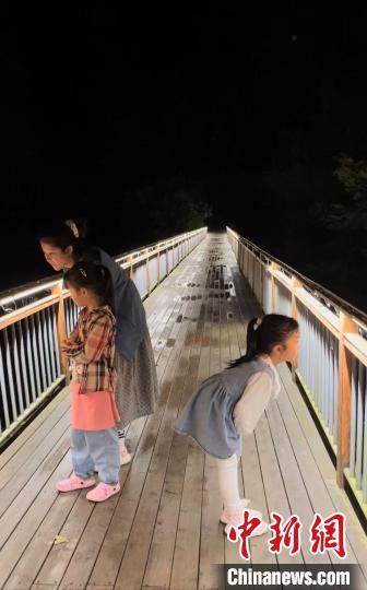 小朋友夜间在林间吊桥观察蜘蛛和昆虫。　杨茜 摄