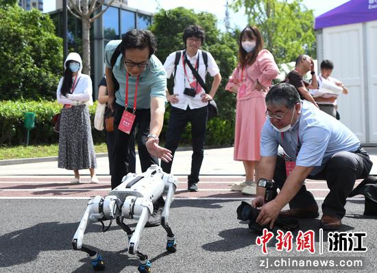 将服务于杭州亚运会运动员训练的机器狗吸引参观者。 王刚摄