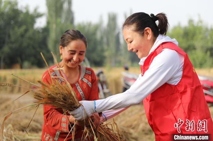 阿曼古丽·木沙（右一）帮助村民收割小麦。　赵飞　摄