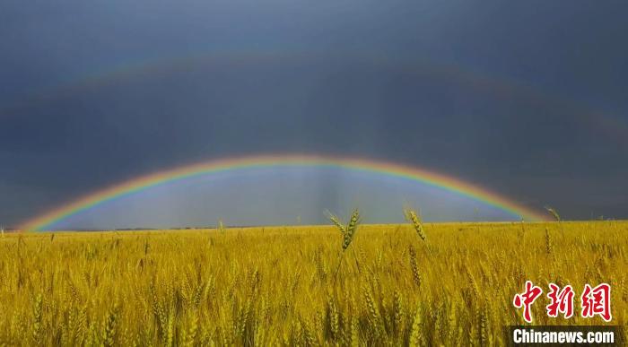 新疆昭苏：雨霁明媚现彩虹