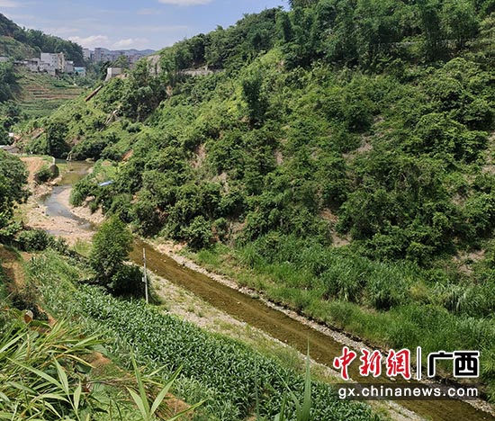 图为夏日难滩河。姚玉明 摄