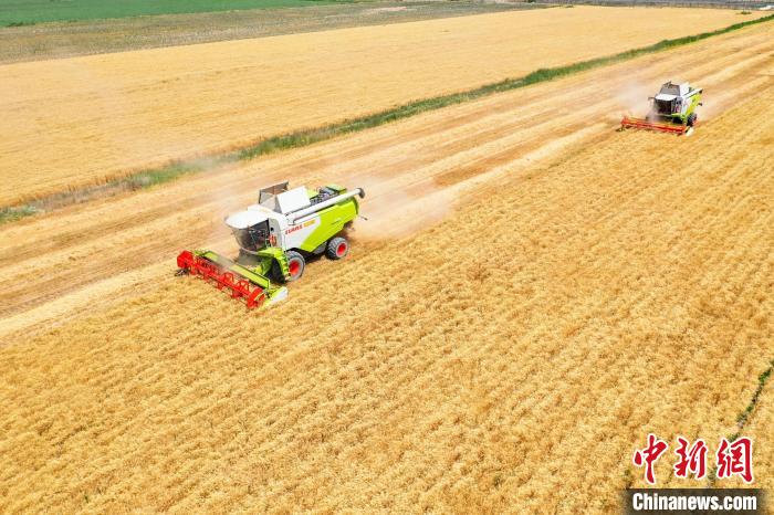 昌吉州小麦正在收割。　陶维明　摄