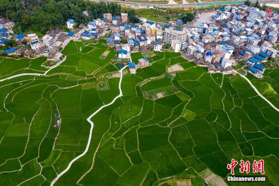 航拍贵州省从江县贯洞镇,田野绿意盎然景如画。
