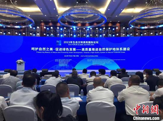 图为主题论坛现场。　张伟　摄