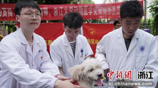 动物医生们在现场进行文明养犬的科普宣传  浙江大学教学动物医院 供图