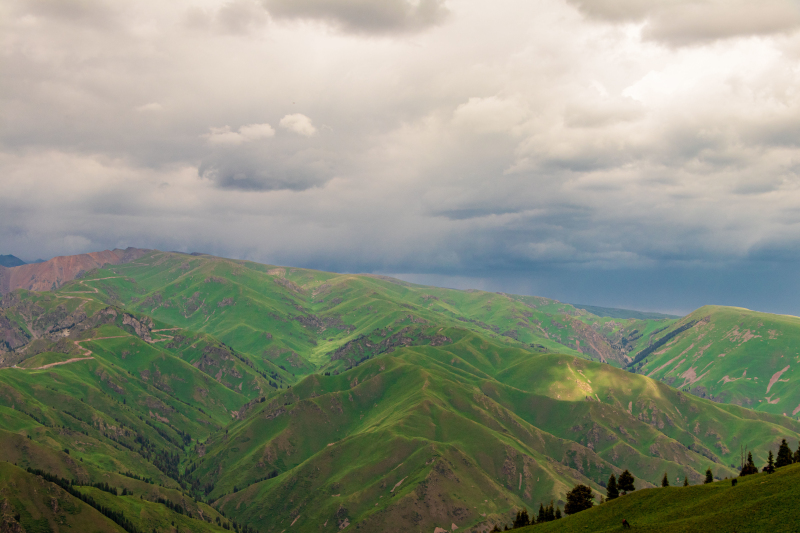 六七月份的新疆博尔塔拉蒙古自治州夏尔希里自然保护区绿意盎然，美景如画。吕志恒 摄