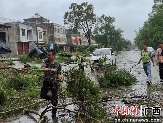 清理因台风倒伏的树木。合浦县委宣传部供图。