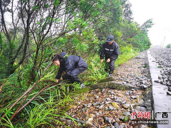 民警正在清理线路安全隐患。黄朝庆 摄 民警正在清理线路安全隐患。黄朝庆 摄