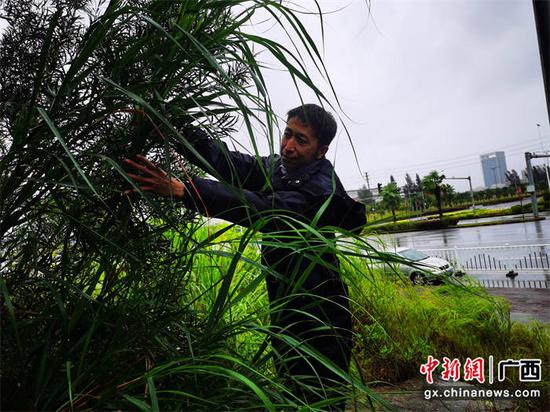 民警正在清理线路安全隐患。黄朝庆 摄 民警正在清理线路安全隐患。黄朝庆 摄
