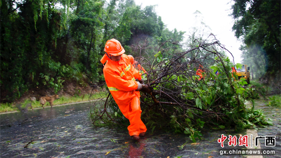 图为钦南公路养护中心养护人员清理倒伏路树。  梁渝敏 摄