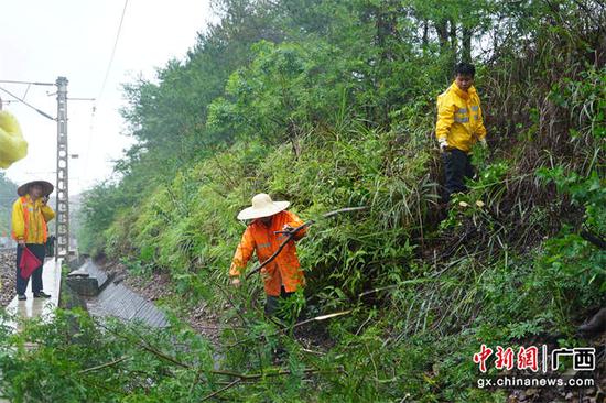 7月18日，该段职工在南宁南南环线清除线路两旁倾斜树枝。宋彤波  摄