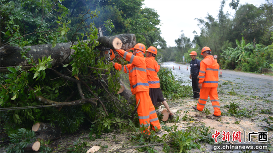 图为浦北公路养护中心养护人员清理倒伏路树。  黄森 摄