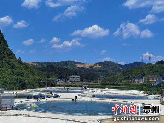 图为播州区苟江镇桥头村高位池循环水生态养殖基地