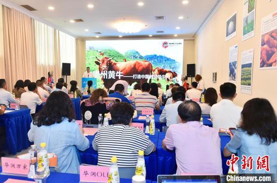7月21日，第六届上海市对口地区特色商品展销会“山海情深·贵品入沪”贵州特色商品推介会在上海展览中心举行。　　康瑜 摄