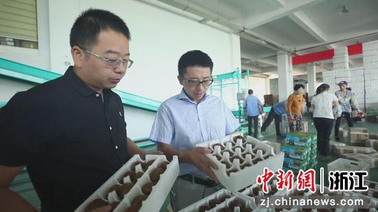 郑贞栋（左一）和其团队实地查看即将直播带货的猕猴桃产品。许建华 摄