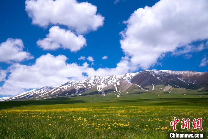 新疆精河縣庫克哈木爾草原：草木豐茂 風光絢麗