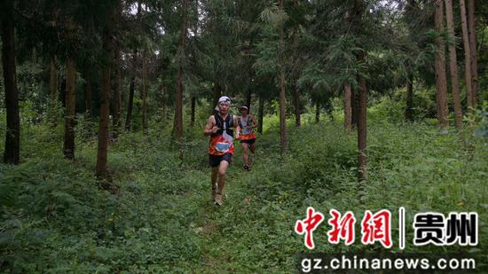 2023中国·百里杜鹃第四届越野跑挑战赛开赛
