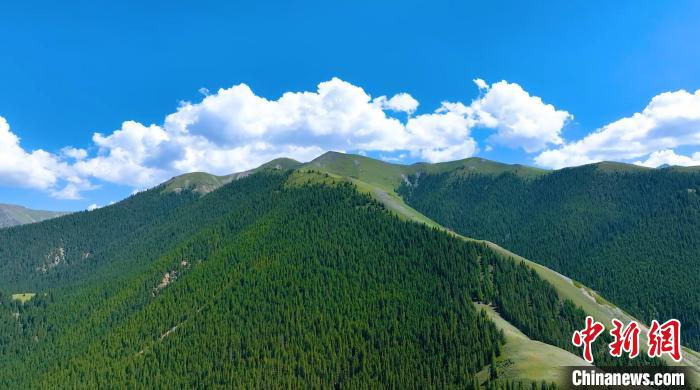 新疆博州巴音阿門景區：夏日湖光山色兩相宜