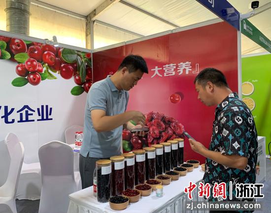 8月3日，2023中国国际坚果大会在浙江杭州举办，70个展位集中展销全球各地的坚果食品。郭其钰 摄