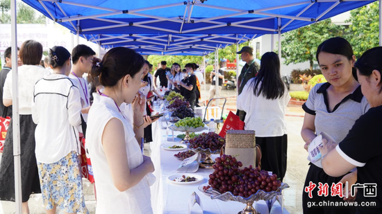 品鉴区水果采购商边品鉴产品边与种植户互动交流 品鉴区水果采购商边品鉴产品边与种植户互动交流