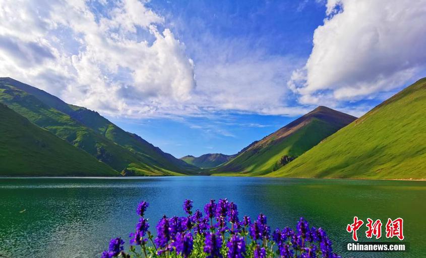 新疆巴音布鲁克草原迎入夏以来最美观赏季
