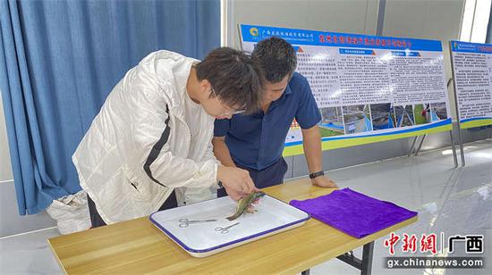 科学解剖数据收集。岑海忠 摄 科学解剖数据收集。岑海忠 摄