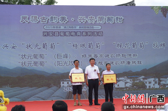 全国优质葡萄生产基地广西兴安县葡萄电商系列活动开幕