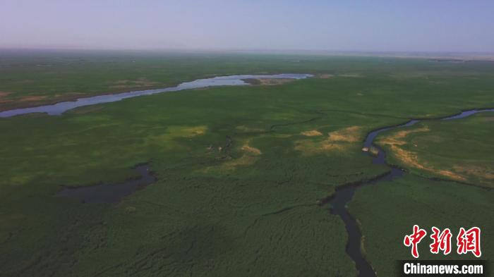 博斯騰湖是中國(guó)最大的內(nèi)陸淡水湖，也是中國(guó)重要的野生鳥類棲息地之一。郭玉順 攝