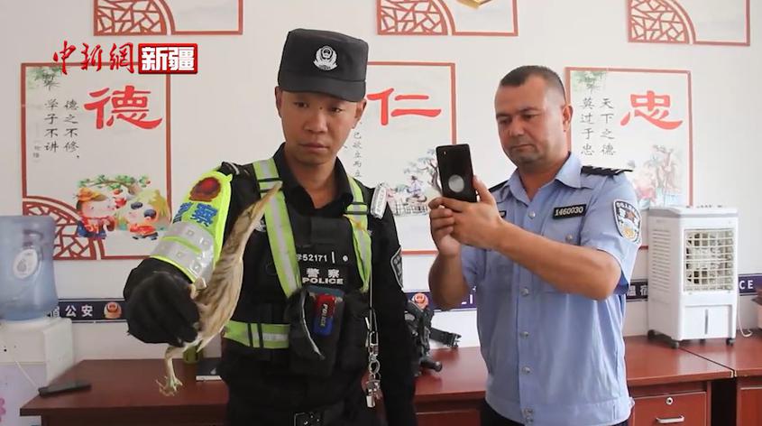 新疆溫宿：民警暖心救助“迷路”的黃葦鳽