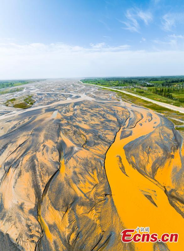 Multiple branches are washed out by increased water volume from the upstream on Cherchen River, creating a stunning landscape in Qiemo County, Bayingolin Mongolian Autonomous Prefecture, northwest China's Xinjiang Uyghur Autonomous Region, July 17, 2023. (Photo/China News Service)

