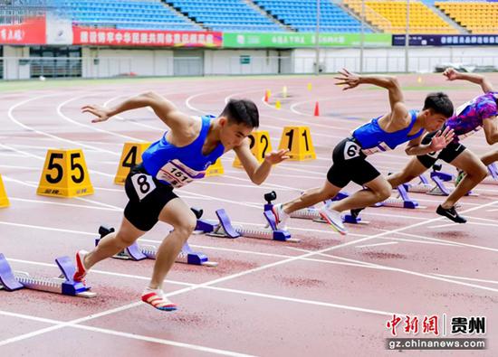 比赛现场。赛事主委会供图